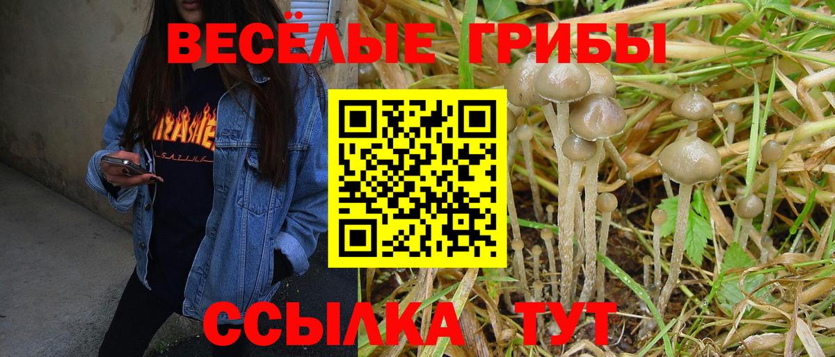 Семёнов  Галлюциногенные грибы MAGIC MUSHROOMS  Вход с VPN 