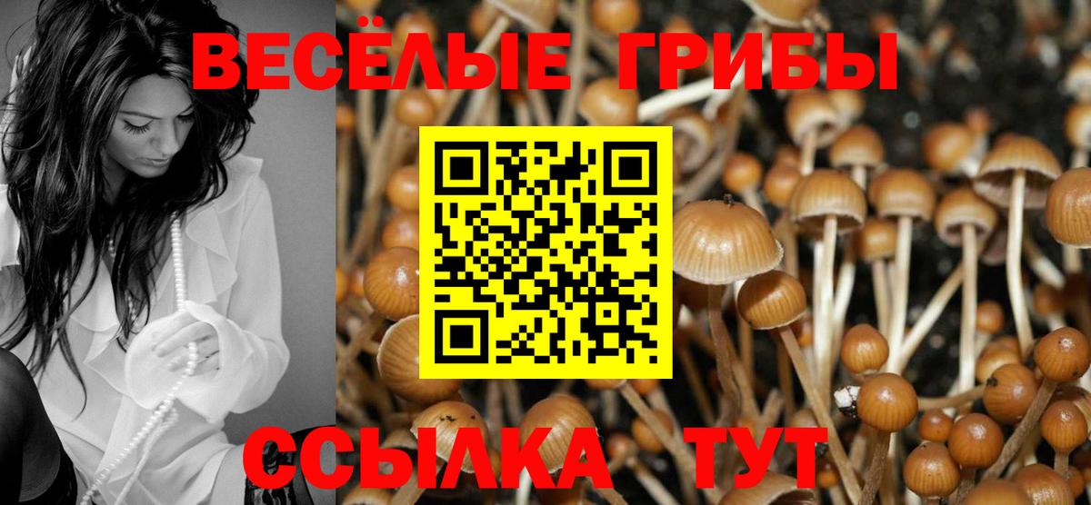 Псилоцибиновые грибы Magic Shrooms Семёнов
